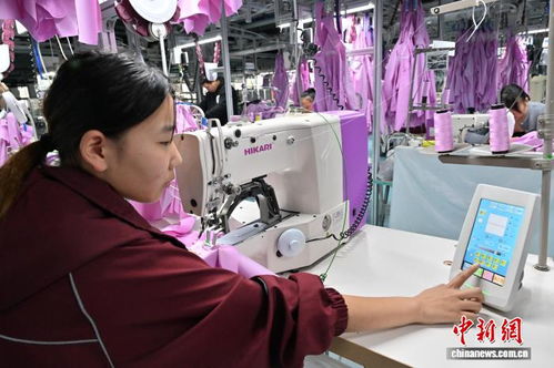 节后赶工忙，辅料制造助商丘服装产业焕新颜