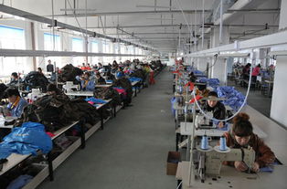 彭瑶服装制造产品热销与服装辅料制造的创新之路